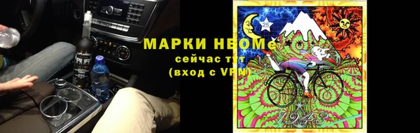 a pvp Бородино