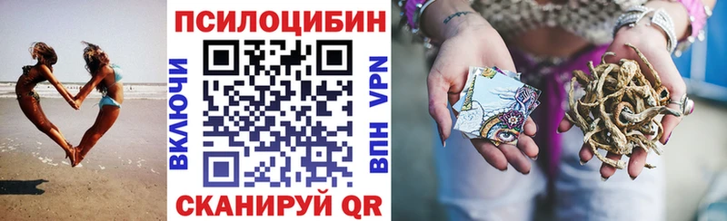 ОМГ ОМГ рабочий сайт  Озёрск  Галлюциногенные грибы Psilocybine cubensis 